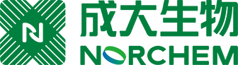Norchem Pharma Logo
