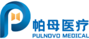 Pulnovo Logo